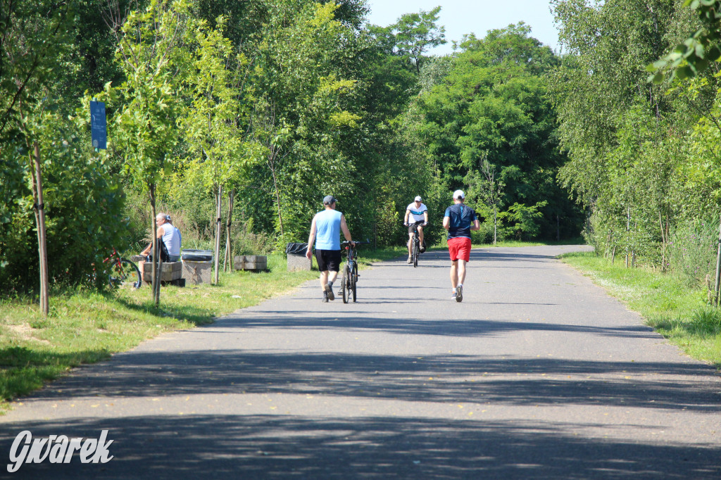 Żabie Doły - zielona enklawa w Bytomiu