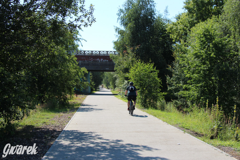 Żabie Doły - zielona enklawa w Bytomiu