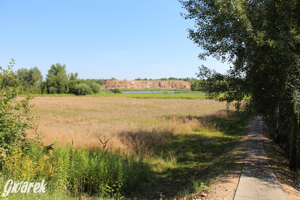 Żabie Doły - zielona enklawa w Bytomiu