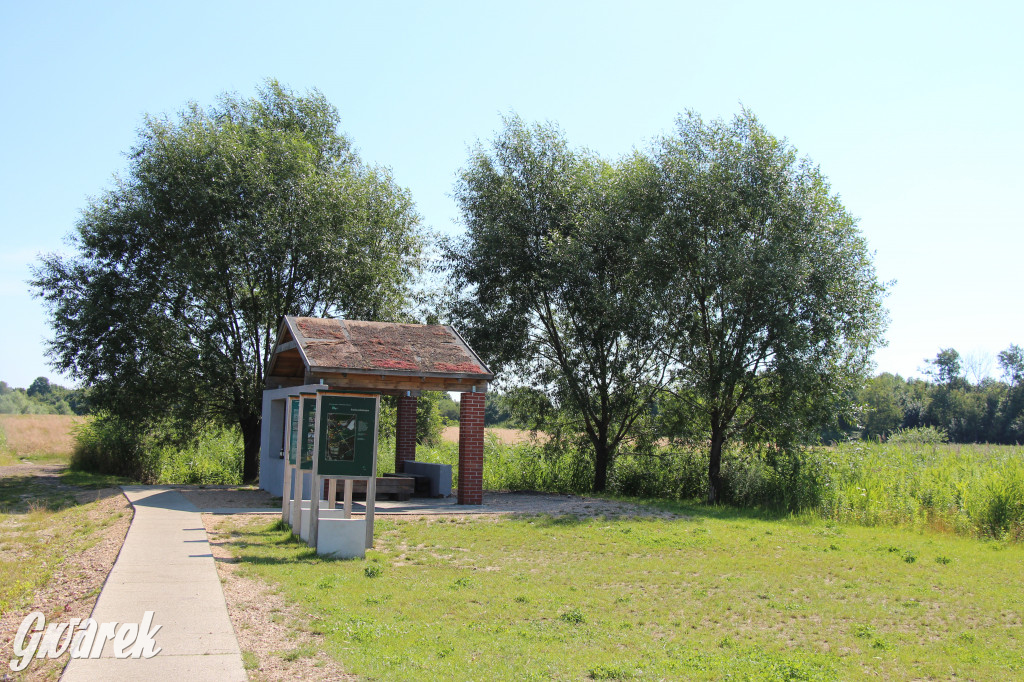 Żabie Doły - zielona enklawa w Bytomiu