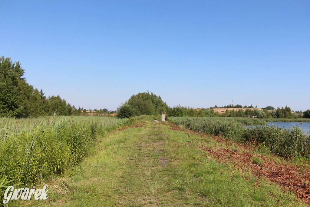 Żabie Doły - zielona enklawa w Bytomiu