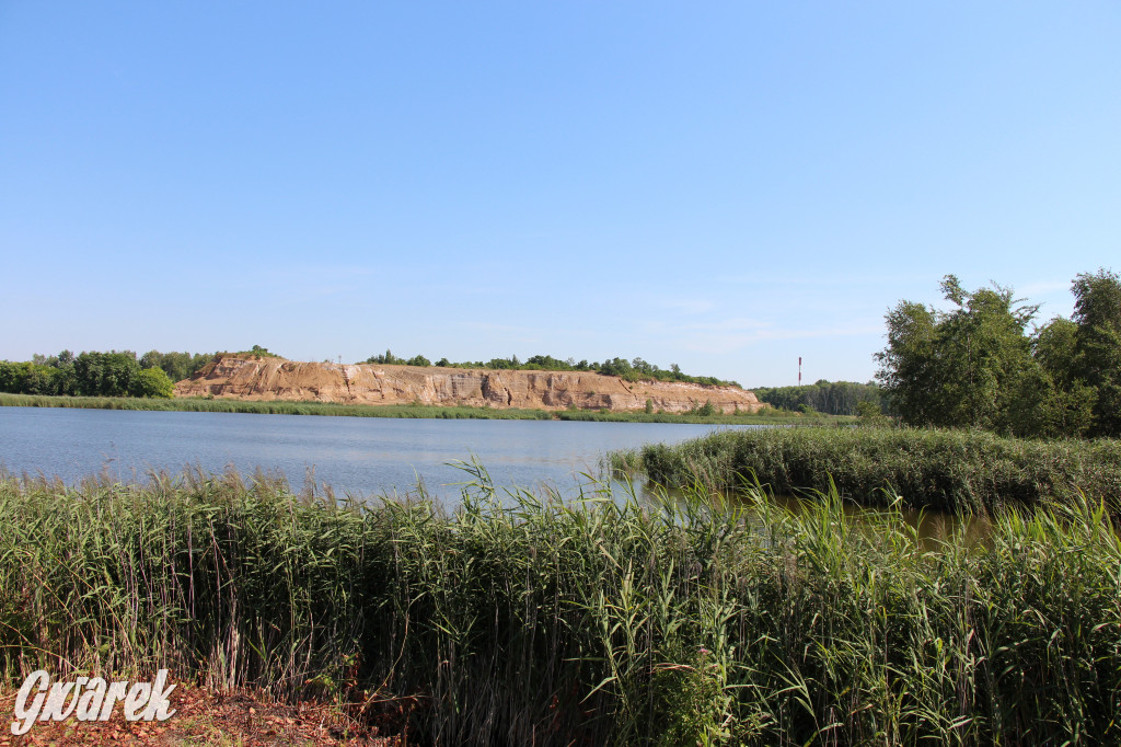 Żabie Doły - zielona enklawa w Bytomiu