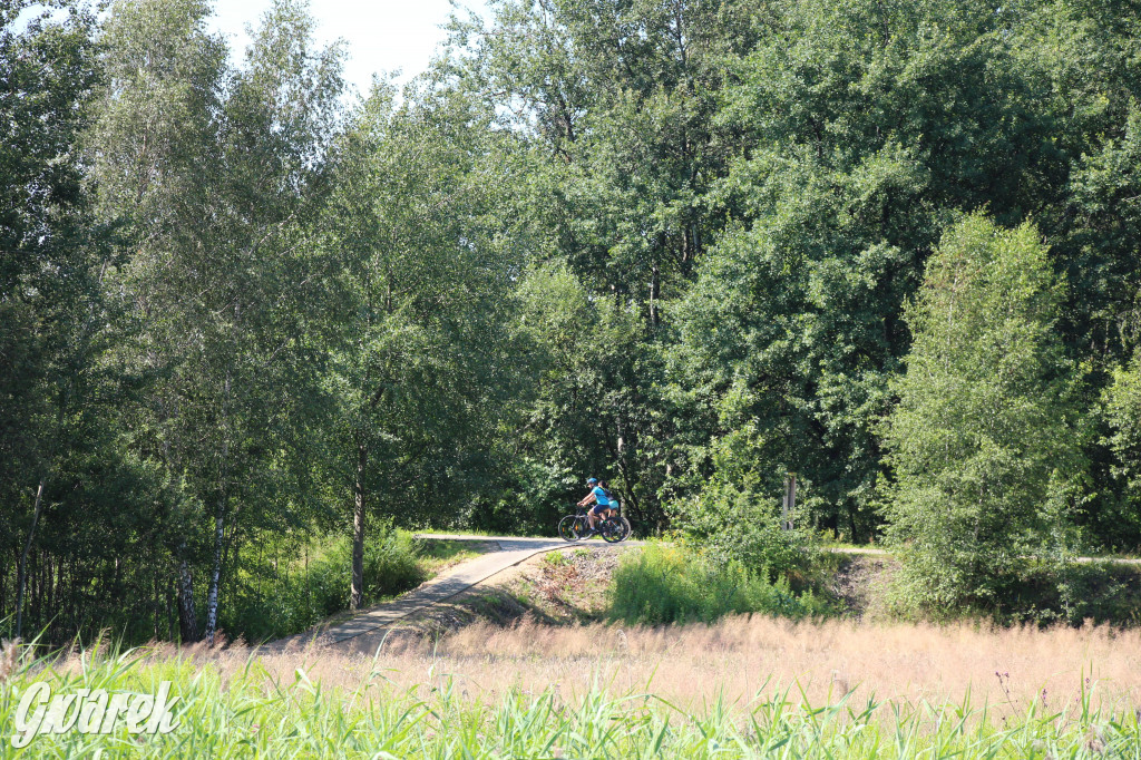 Żabie Doły - zielona enklawa w Bytomiu