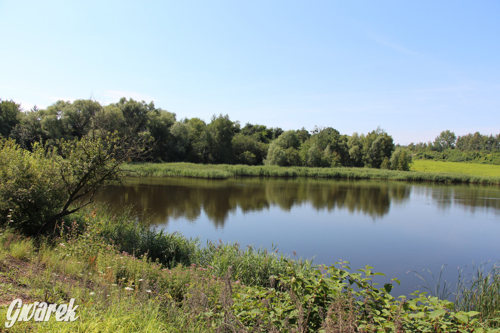 Żabie Doły - zielona enklawa w Bytomiu