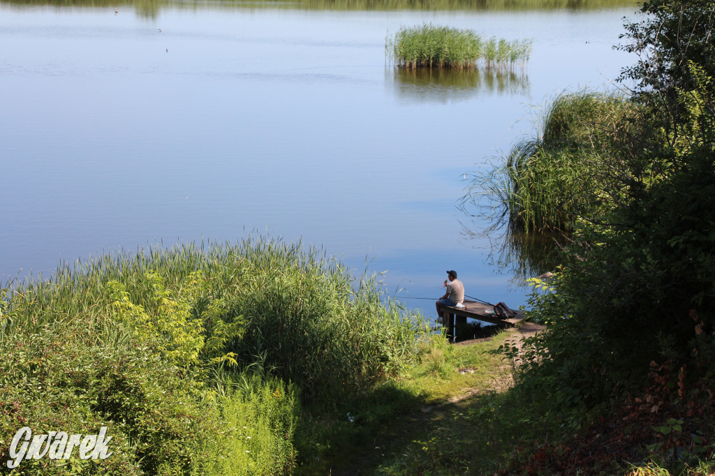 Żabie Doły - zielona enklawa w Bytomiu