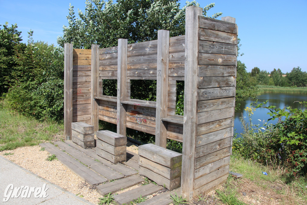 Żabie Doły - zielona enklawa w Bytomiu