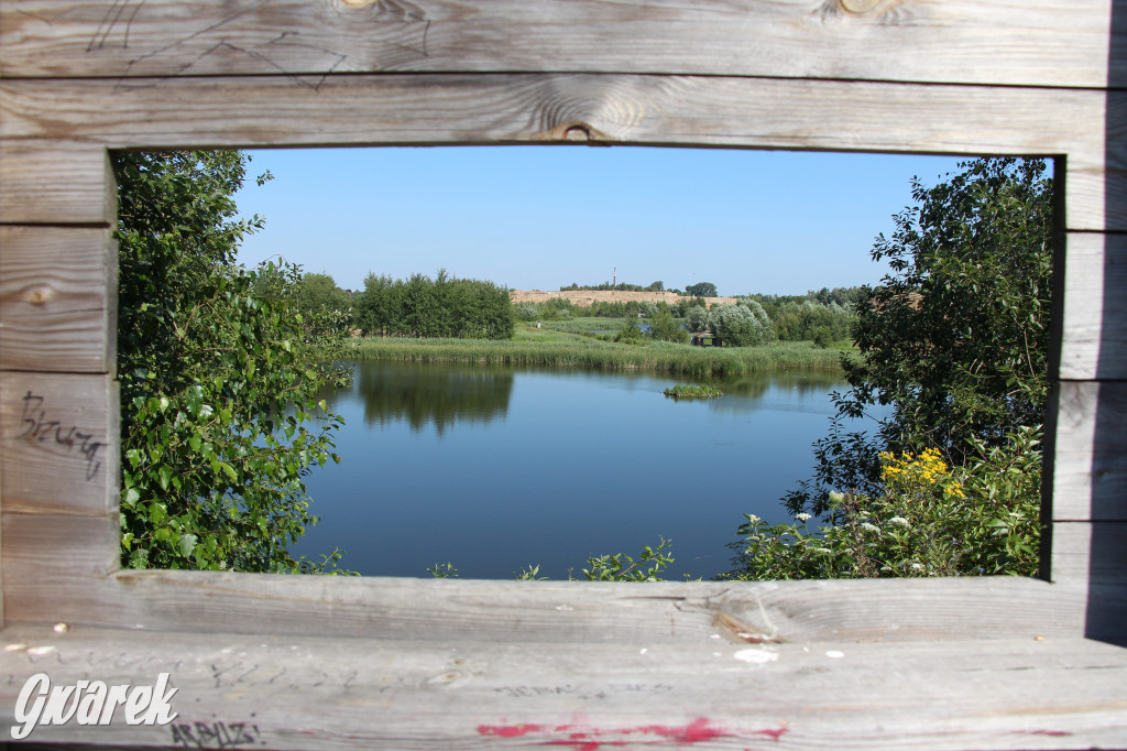 Żabie Doły - zielona enklawa w Bytomiu