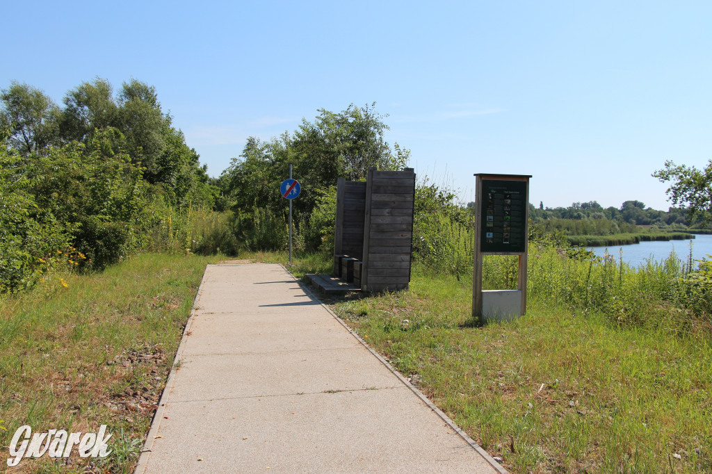Żabie Doły - zielona enklawa w Bytomiu