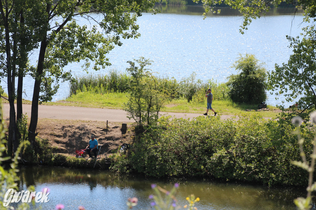 Żabie Doły - zielona enklawa w Bytomiu