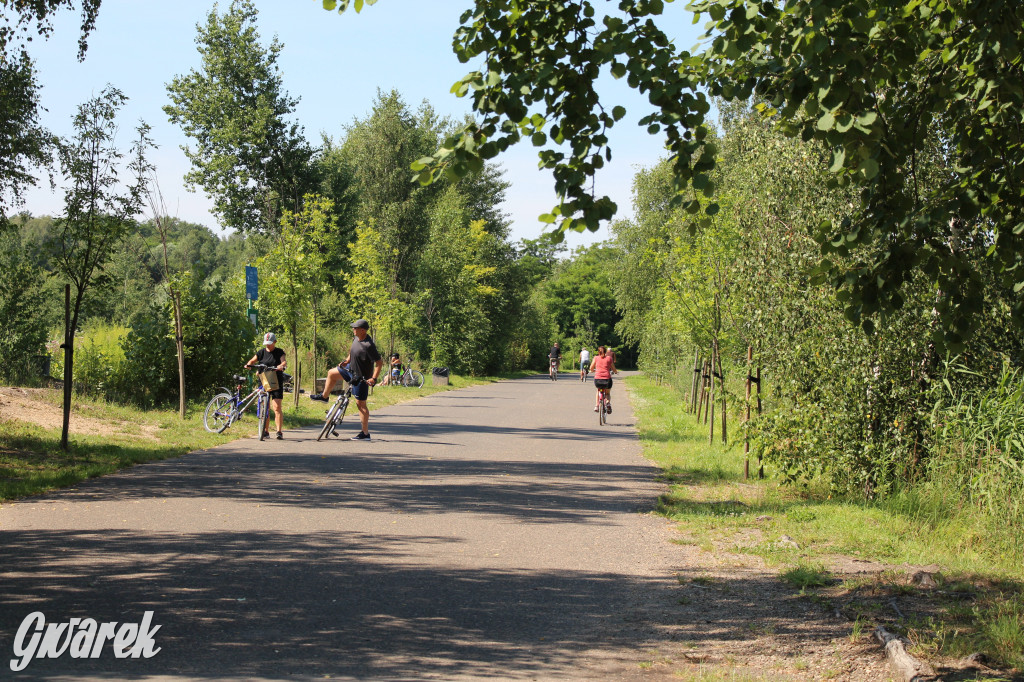 Żabie Doły - zielona enklawa w Bytomiu