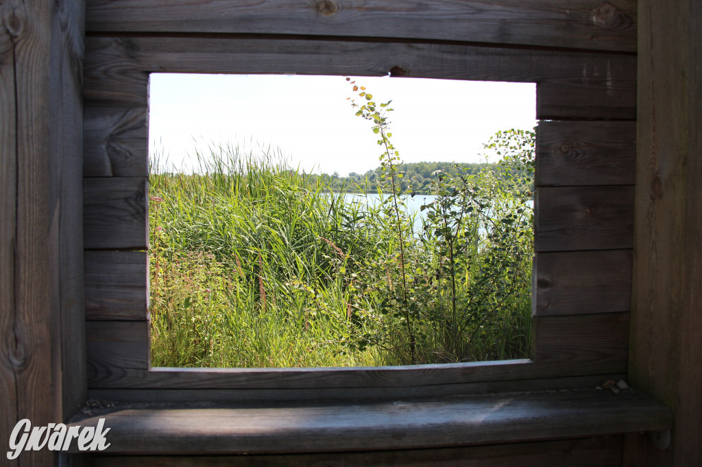 Żabie Doły - zielona enklawa w Bytomiu