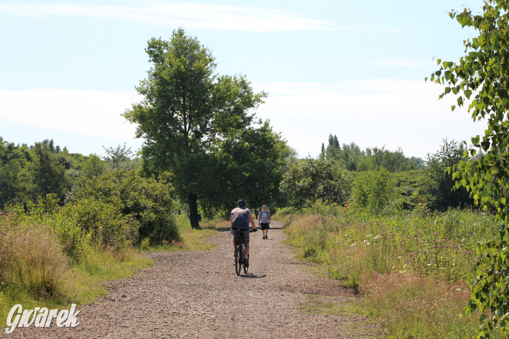 Żabie Doły - zielona enklawa w Bytomiu