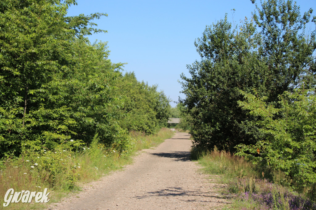 Żabie Doły - zielona enklawa w Bytomiu