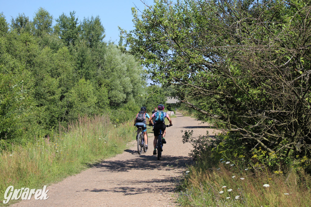 Żabie Doły - zielona enklawa w Bytomiu