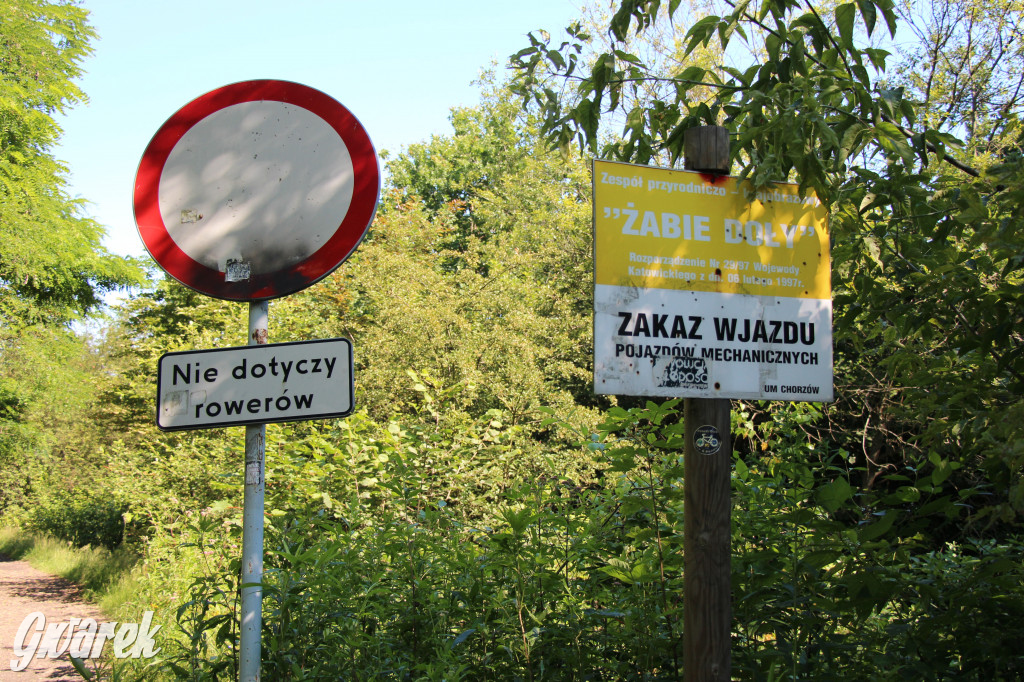 Żabie Doły - zielona enklawa w Bytomiu