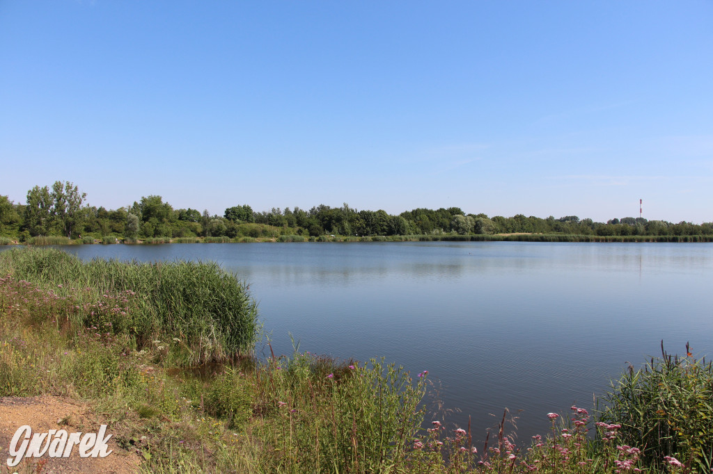 Żabie Doły - zielona enklawa w Bytomiu