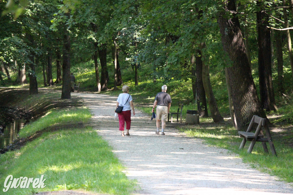 Fazaniec - zabytkowy park w Szombierkach