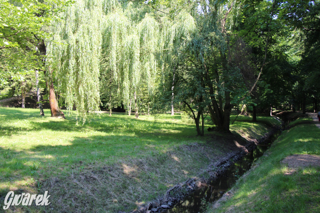 Fazaniec - zabytkowy park w Szombierkach