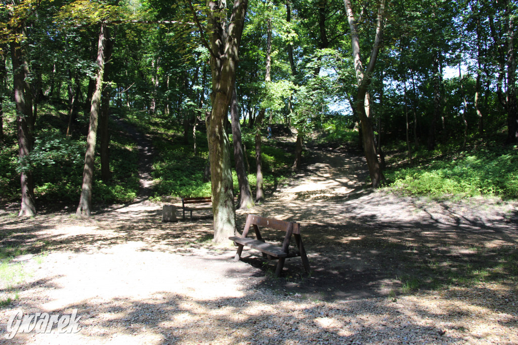 Fazaniec - zabytkowy park w Szombierkach