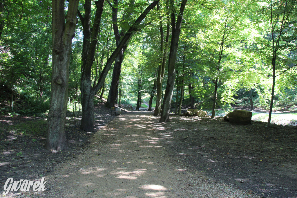 Fazaniec - zabytkowy park w Szombierkach