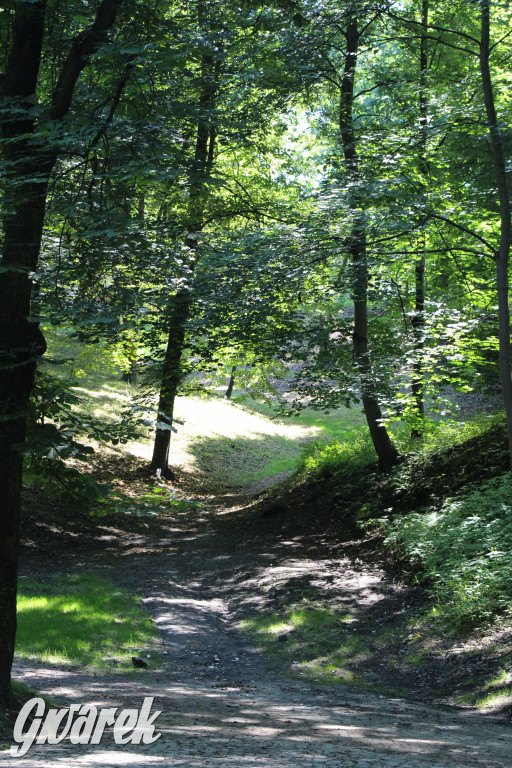 Fazaniec - zabytkowy park w Szombierkach