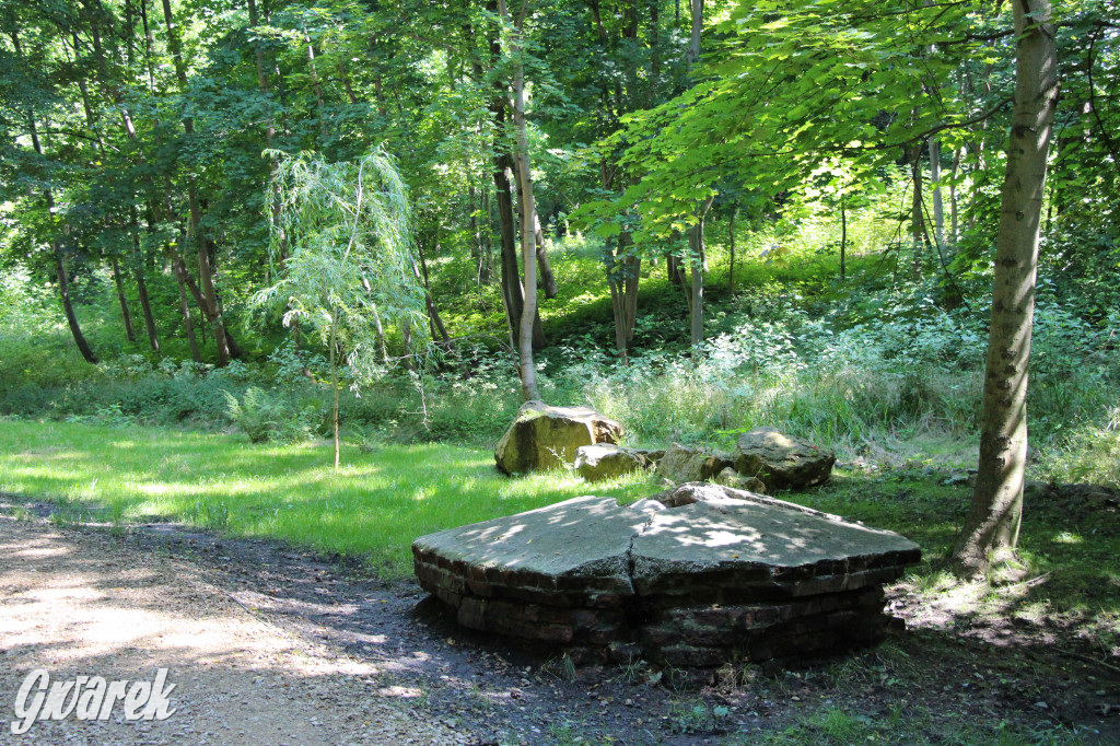 Fazaniec - zabytkowy park w Szombierkach