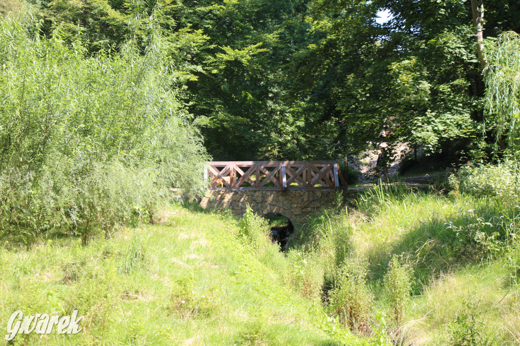 Fazaniec - zabytkowy park w Szombierkach