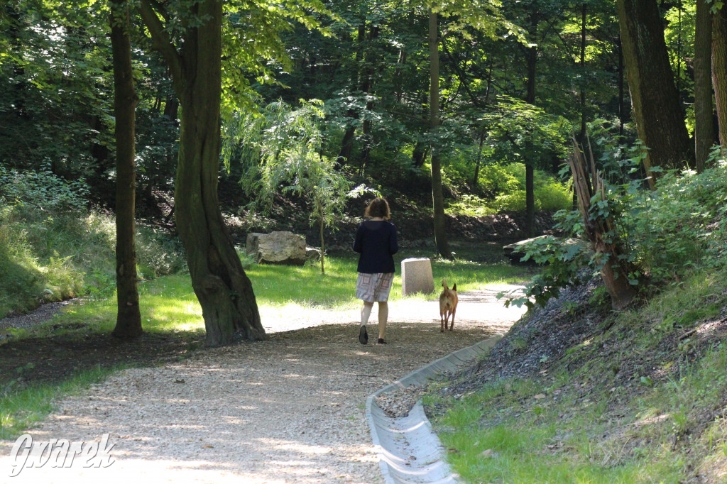 Fazaniec - zabytkowy park w Szombierkach