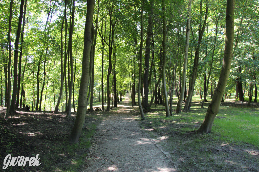 Fazaniec - zabytkowy park w Szombierkach