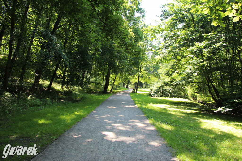 Fazaniec - zabytkowy park w Szombierkach
