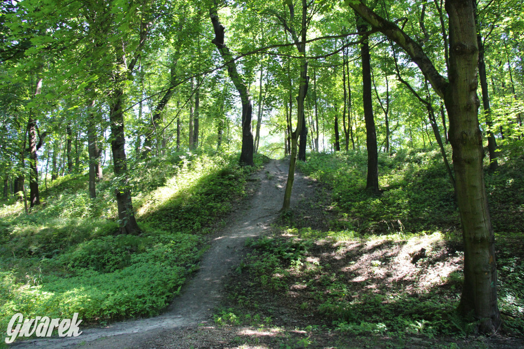 Fazaniec - zabytkowy park w Szombierkach