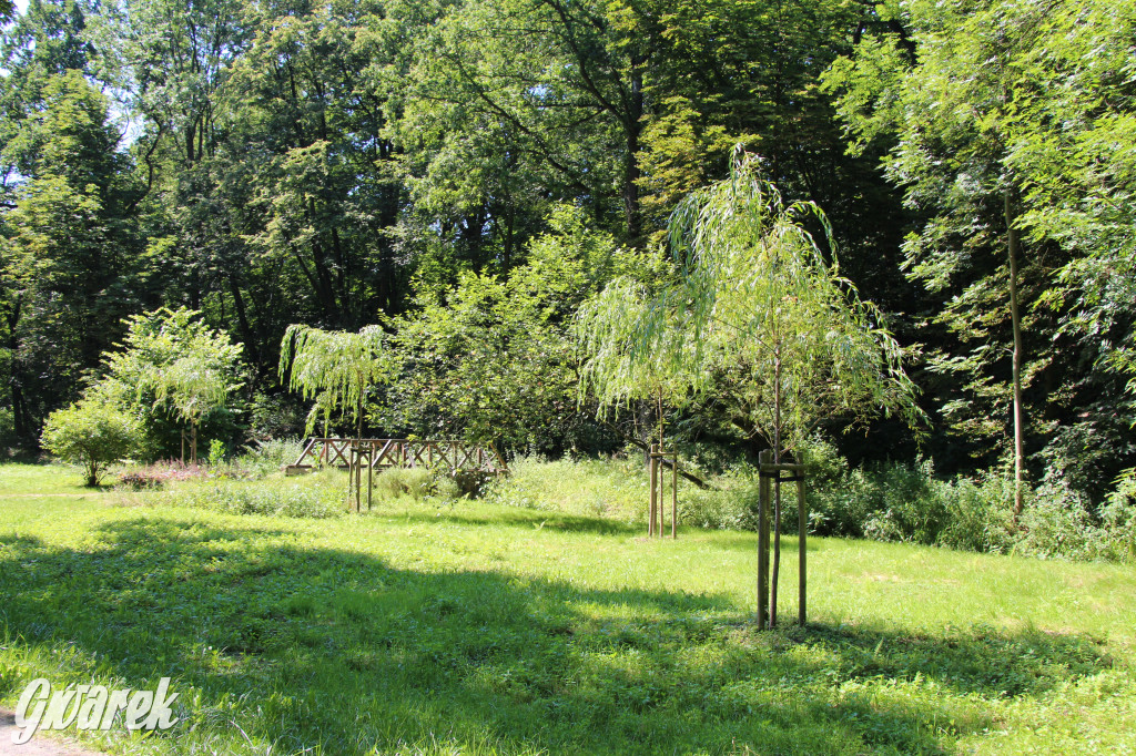 Fazaniec - zabytkowy park w Szombierkach