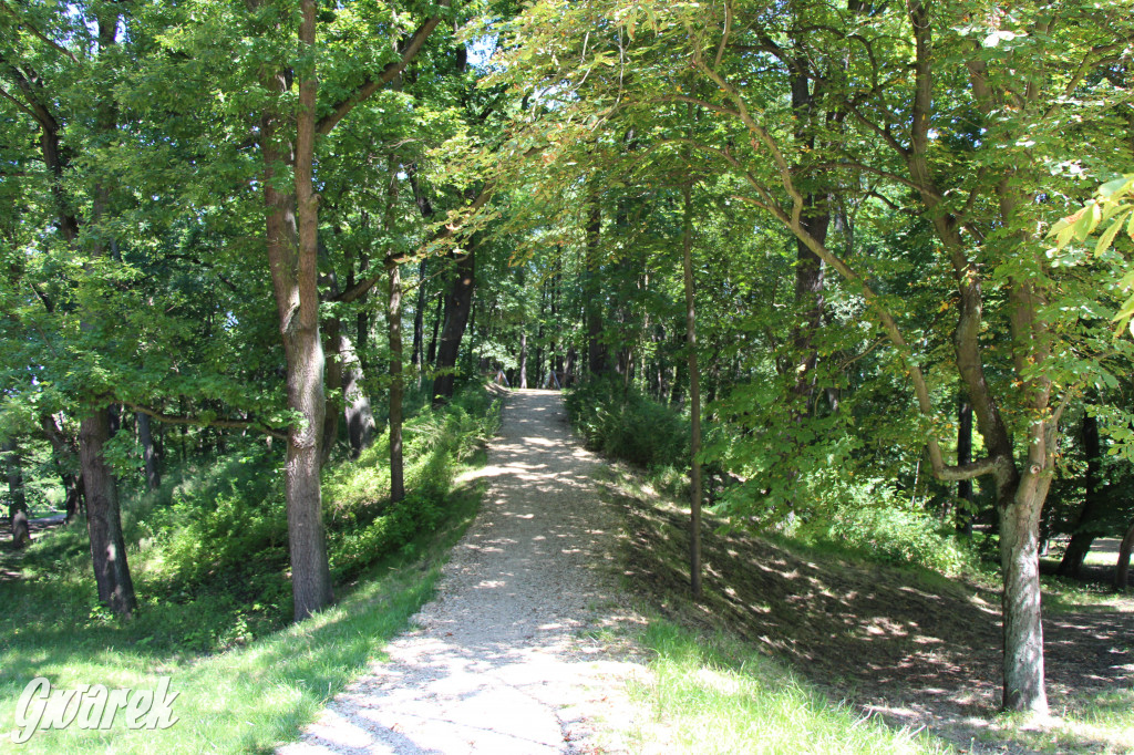 Fazaniec - zabytkowy park w Szombierkach