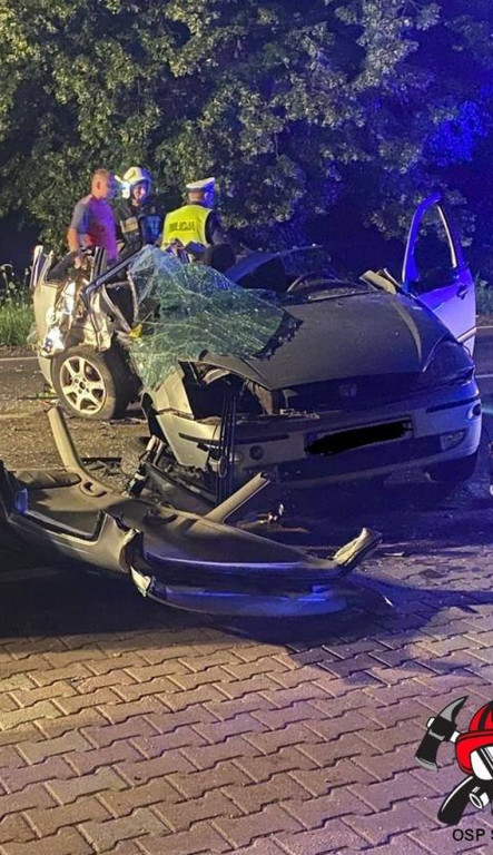 Śmiertelny wypadek na DK 78 w Szałszy