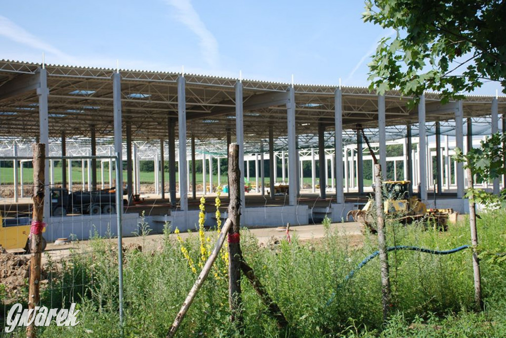 Przy DW 911 budują centrum logistyczne