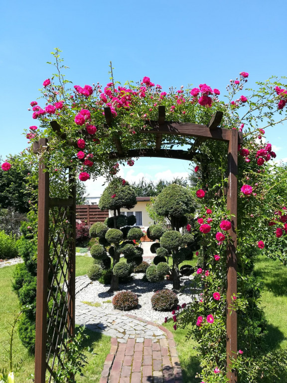 Najładniejsze ogrody, ogródki, balkony - cz. 1