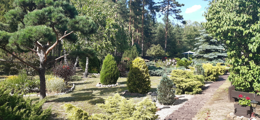 Najładniejsze ogrody, ogródki, balkony - cz. 1