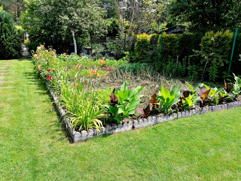 Najładniejsze ogrody, ogródki, balkony - cz. 1