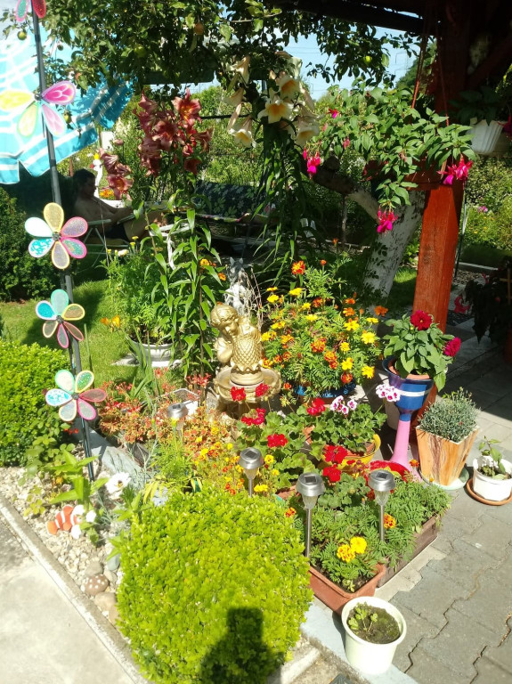 Najładniejsze ogrody, ogródki, balkony - cz. 1