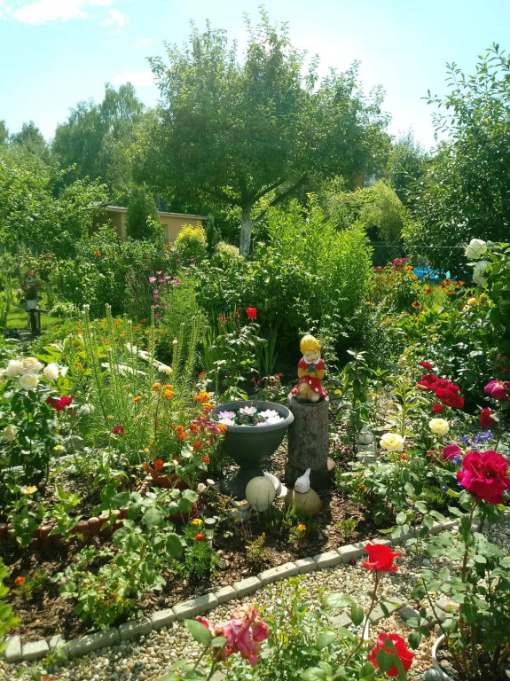 Najładniejsze ogrody, ogródki, balkony - cz. 1