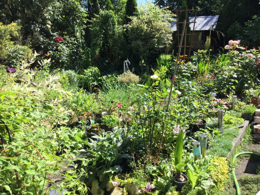 Najładniejsze ogrody, ogródki, balkony - cz. 1