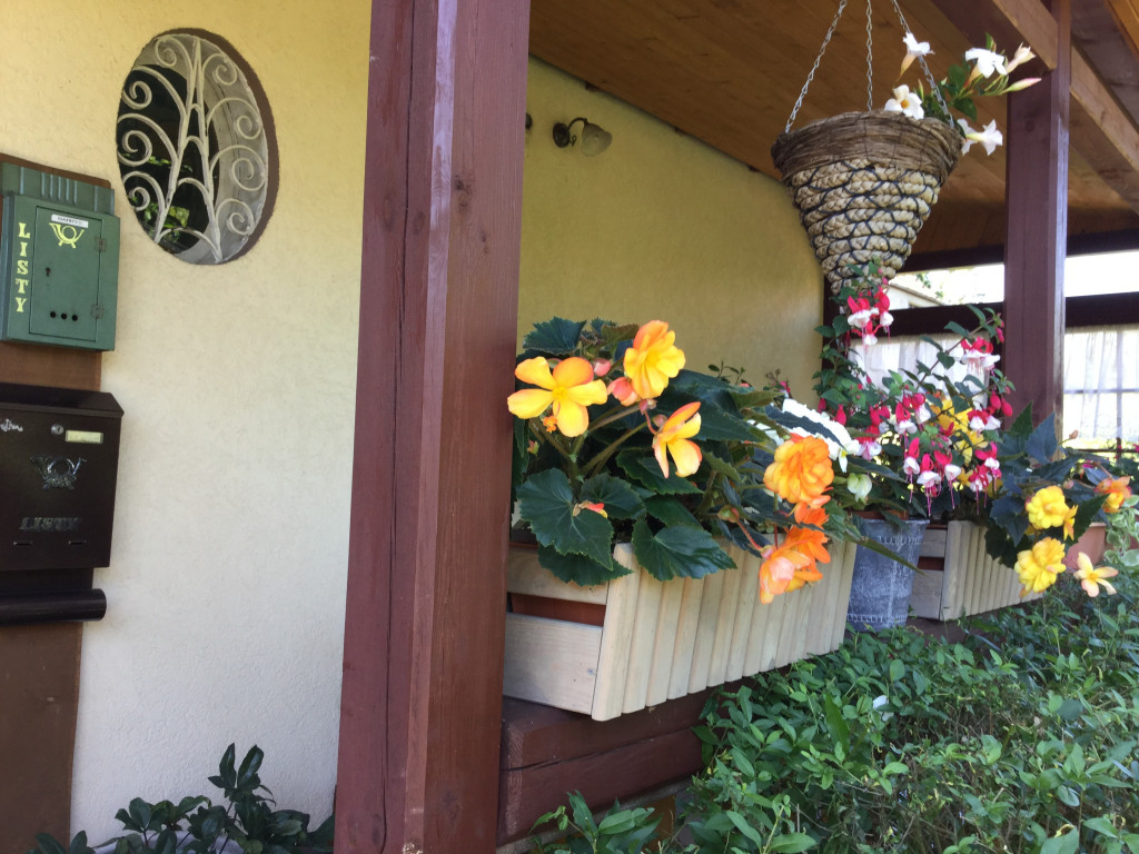 Najładniejsze ogrody, ogródki, balkony - cz. 1