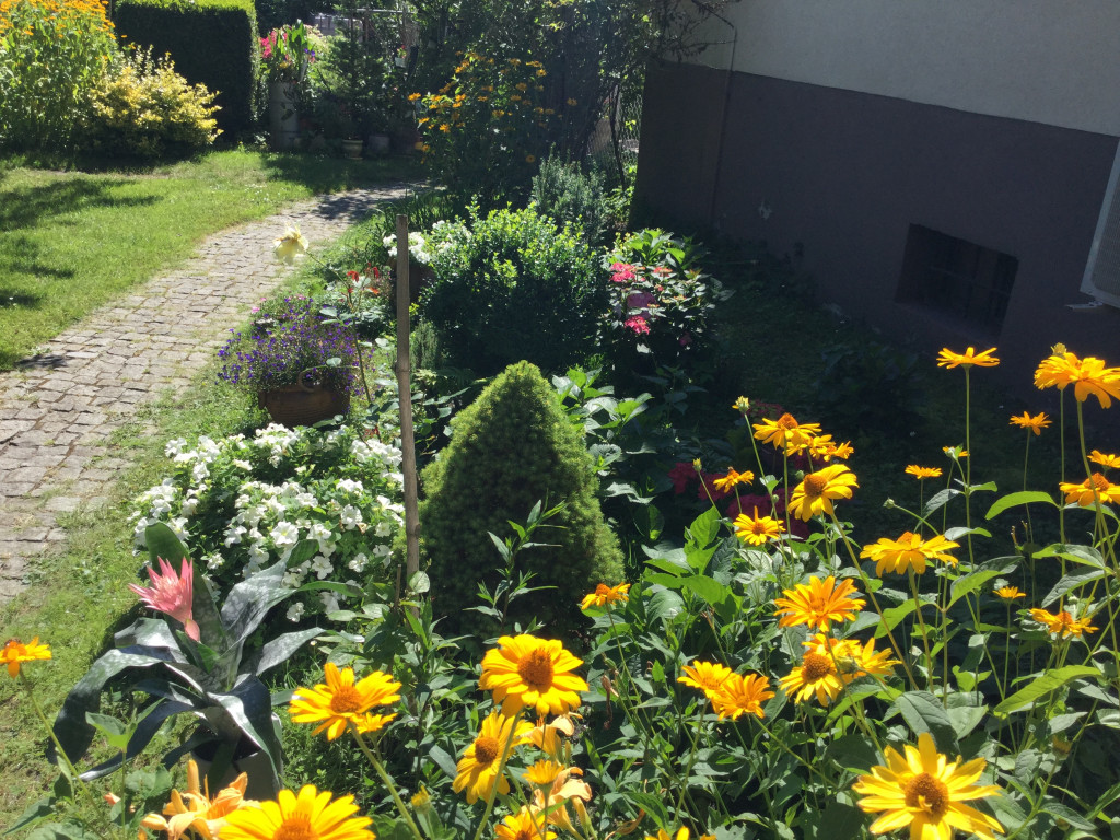 Najładniejsze ogrody, ogródki, balkony - cz. 1