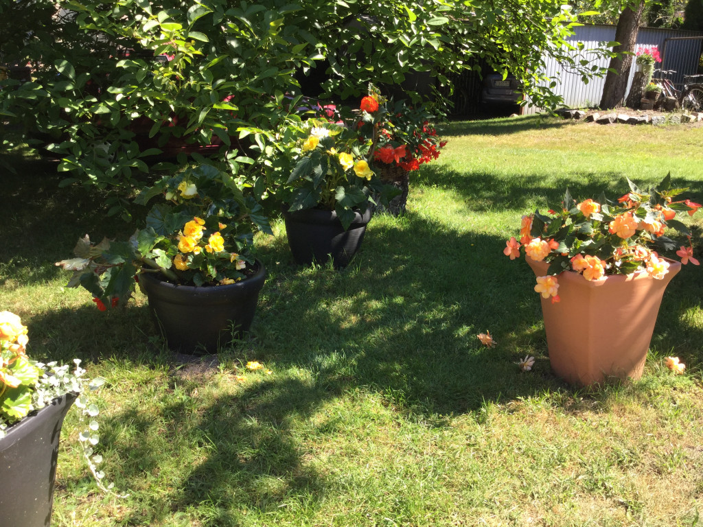 Najładniejsze ogrody, ogródki, balkony - cz. 1