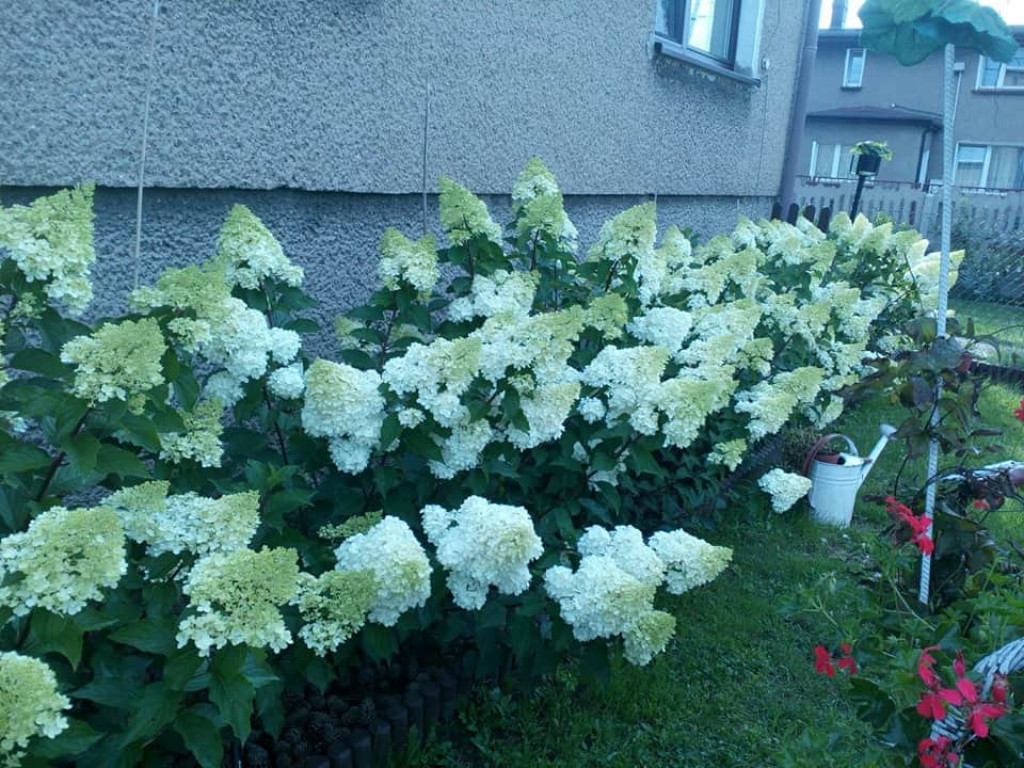 Najładniejsze ogrody, ogródki, balkony - cz. 1