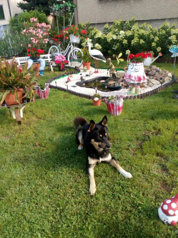 Najładniejsze ogrody, ogródki, balkony - cz. 1