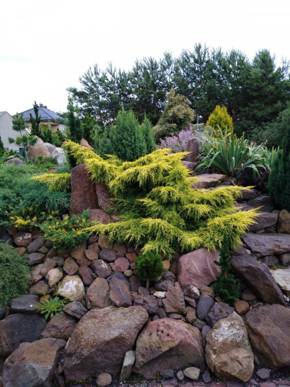 Najładniejsze ogrody, ogródki, balkony - cz. 1