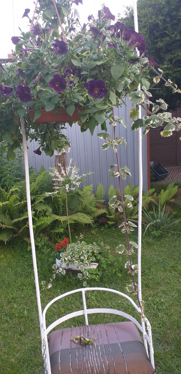 Najładniejsze ogrody, ogródki, balkony - cz. 1