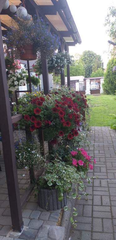 Najładniejsze ogrody, ogródki, balkony - cz. 1