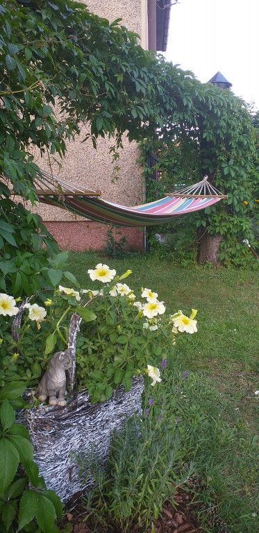 Najładniejsze ogrody, ogródki, balkony - cz. 1